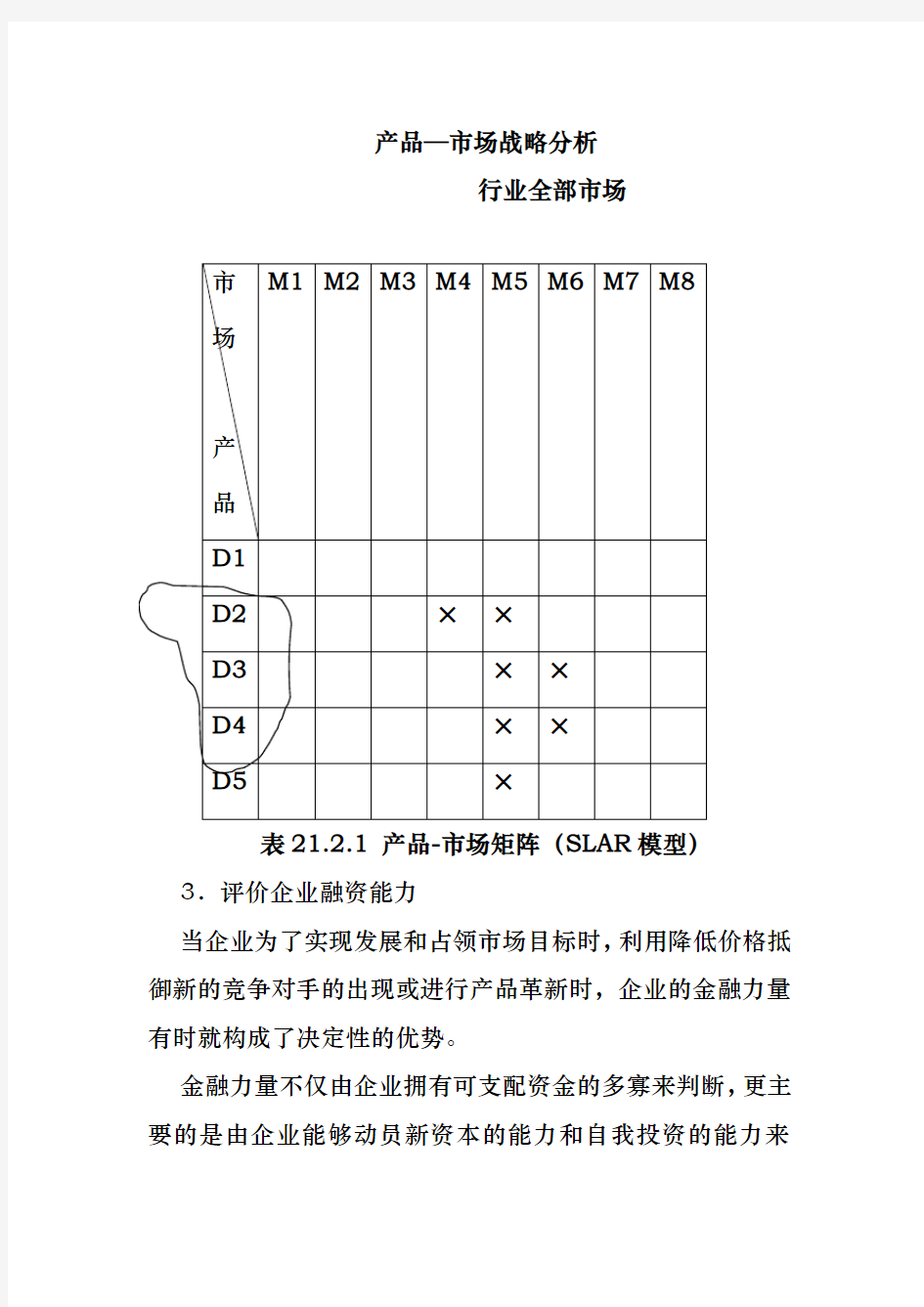 产品—市场战略分析报告