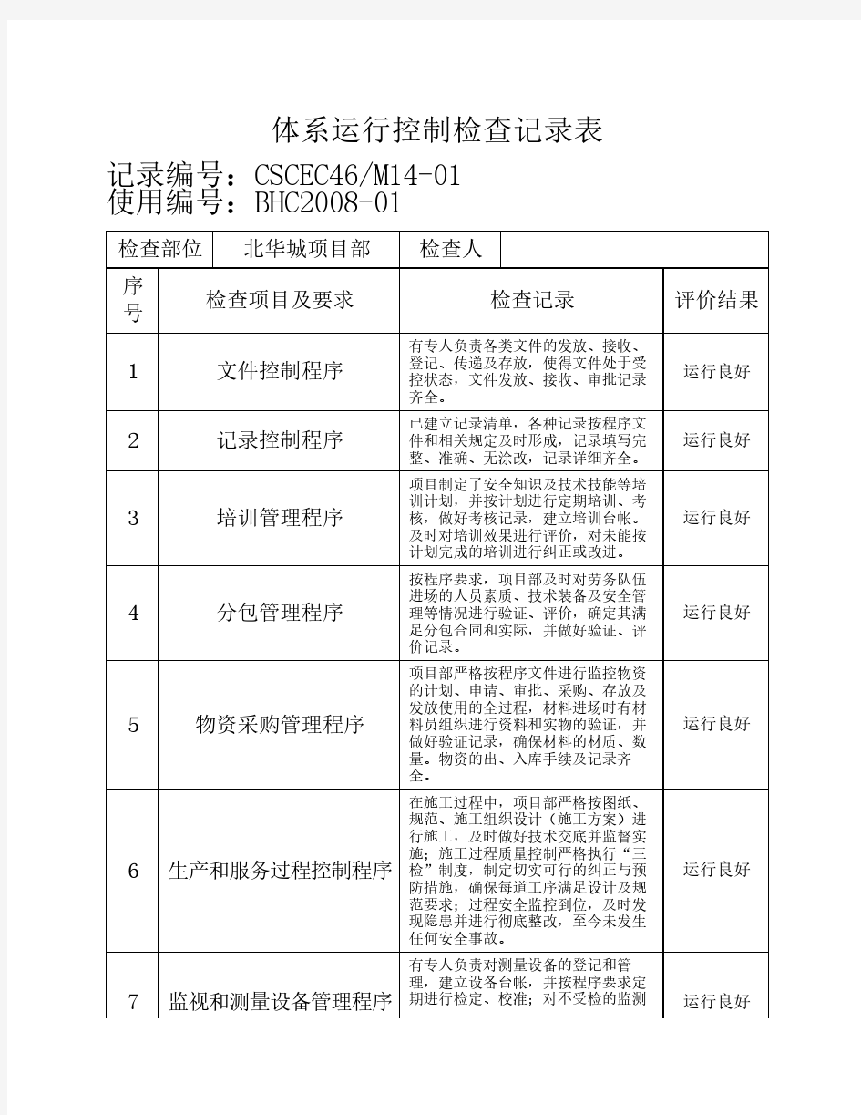 体系运行控制检查记录表