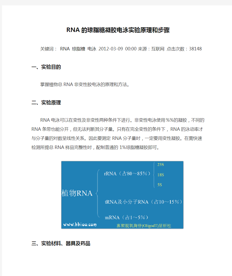 RNA的琼脂糖凝胶电泳实验原理和步骤