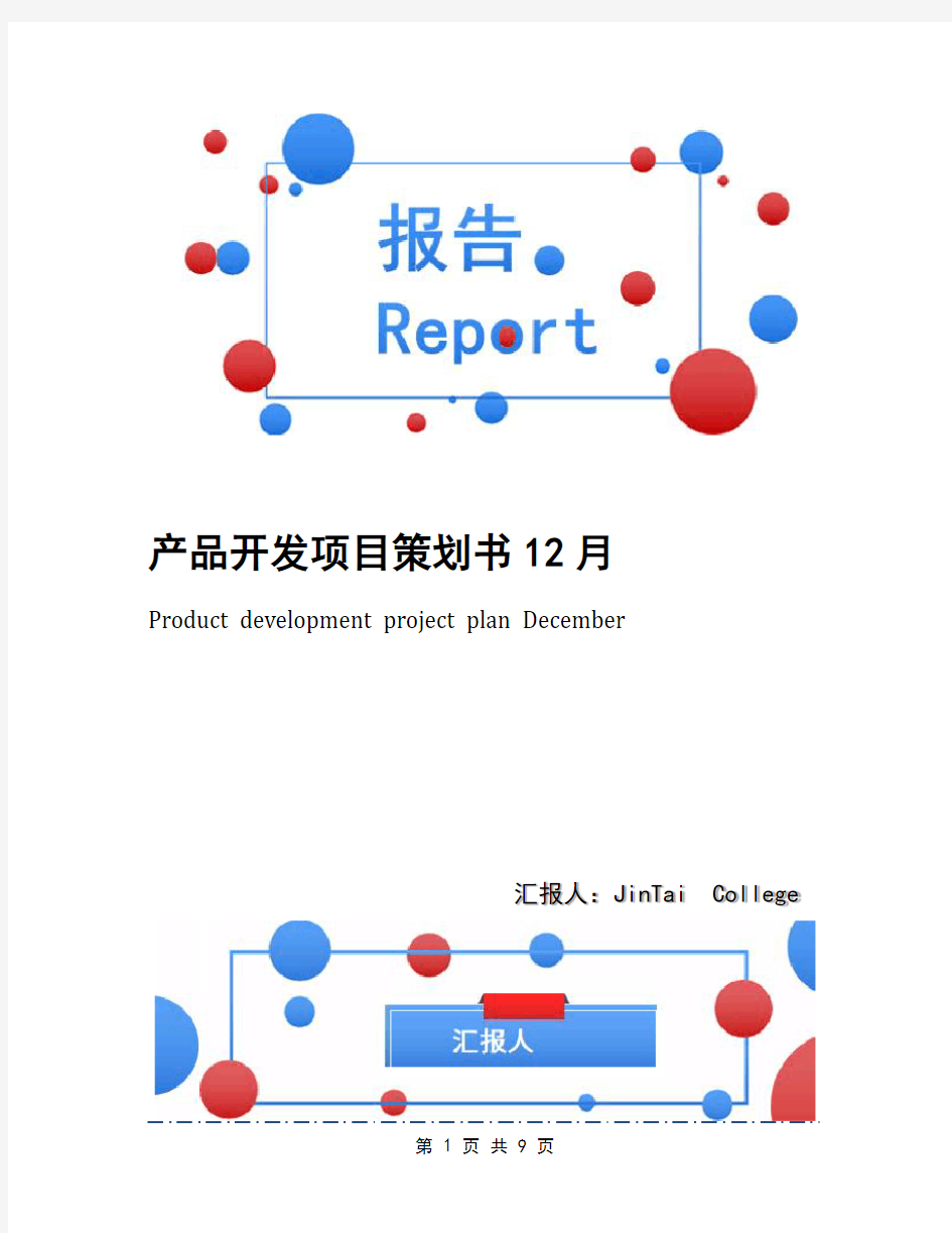 产品开发项目策划书12月