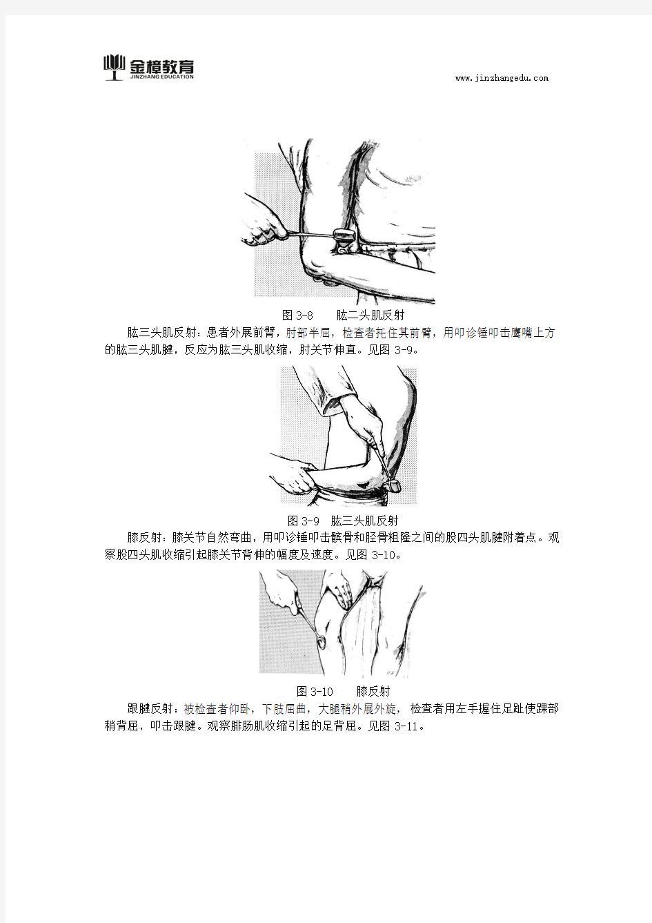 2018临床医师实践技能知识考点(二十二)