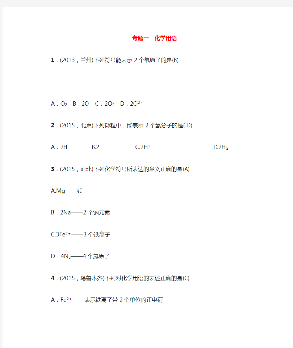 中考化学专题一化学用语训练