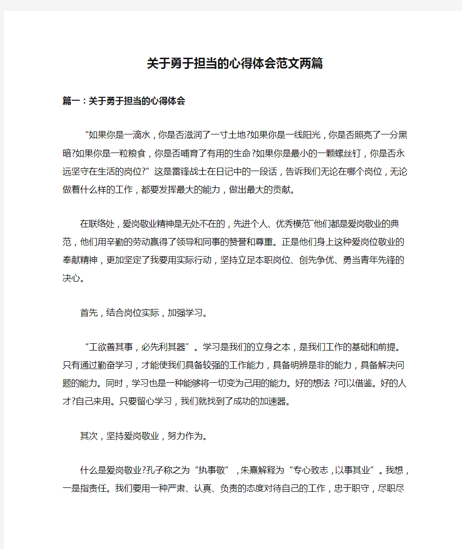 关于勇于担当的心得体会范文两篇