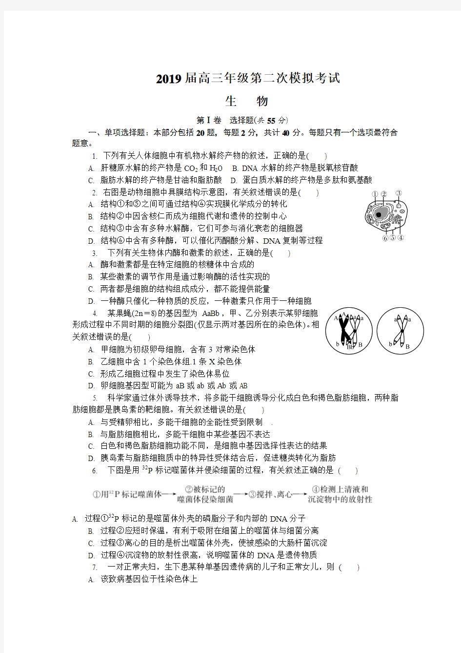 【南通七市】2018-2019学年高三生物二模试卷