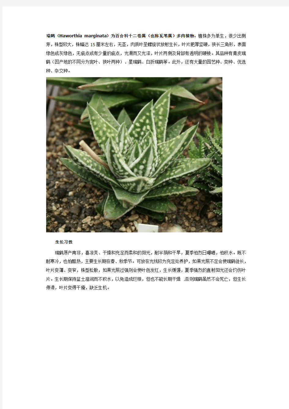 瑞鹤(Haworthia marginata)为百合科十二卷属(也称瓦苇属)多肉植物