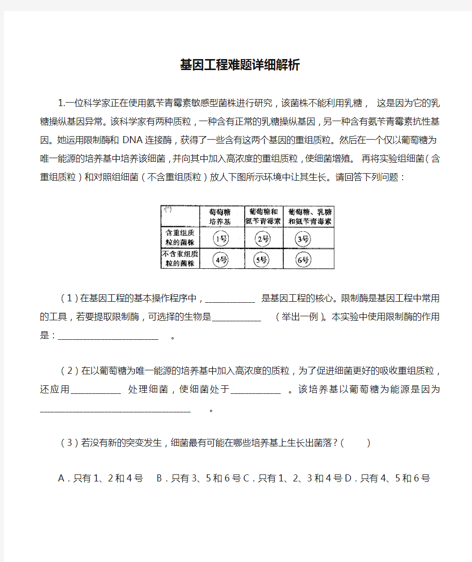 基因工程难题详细解析