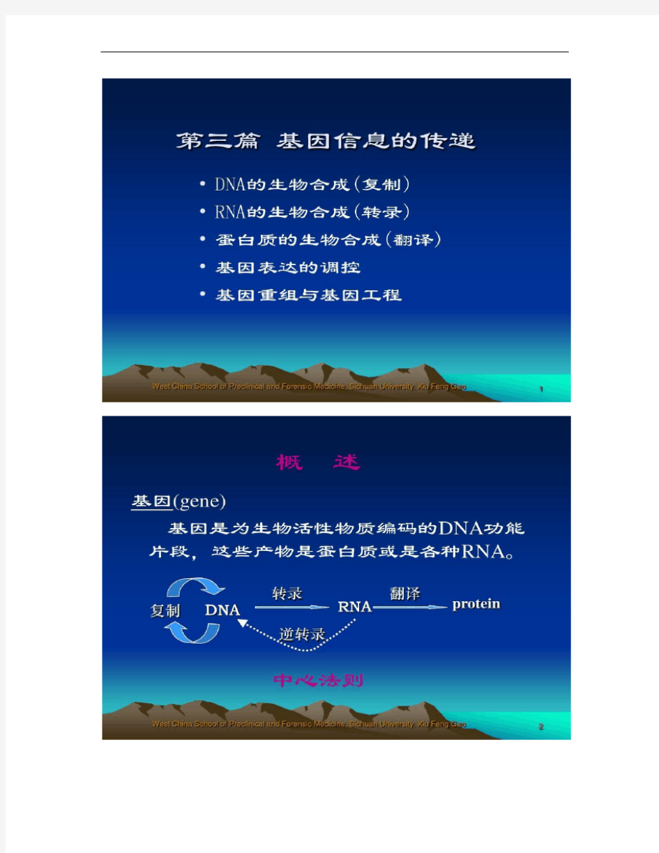 四川大学生物化学课件 第十章 复制.