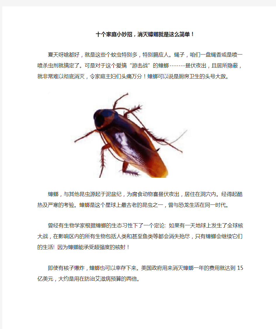 十个家庭小妙招,消灭蟑螂就是这么简单!