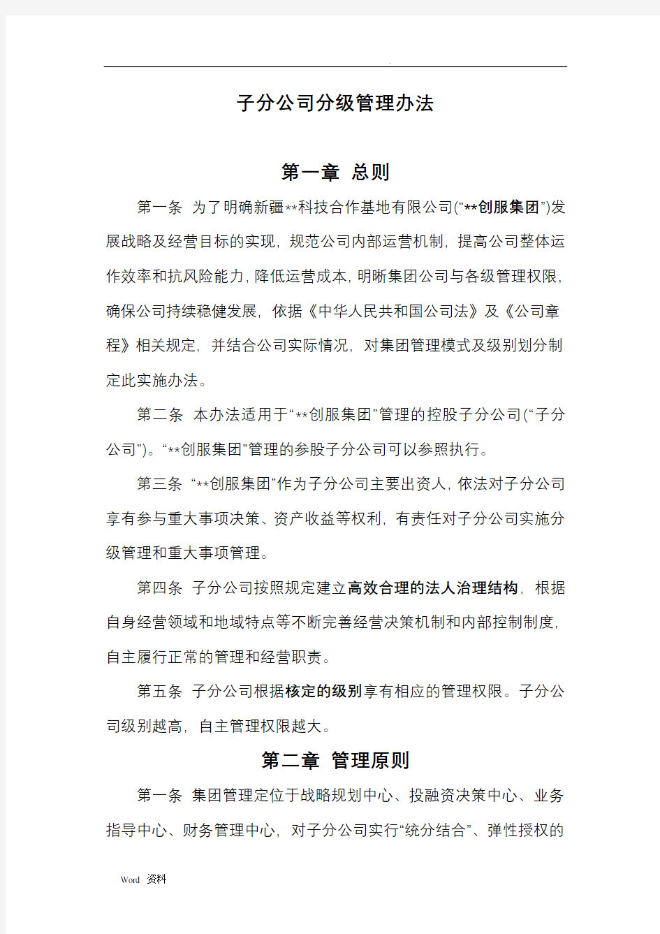 集团公司分级管理办法