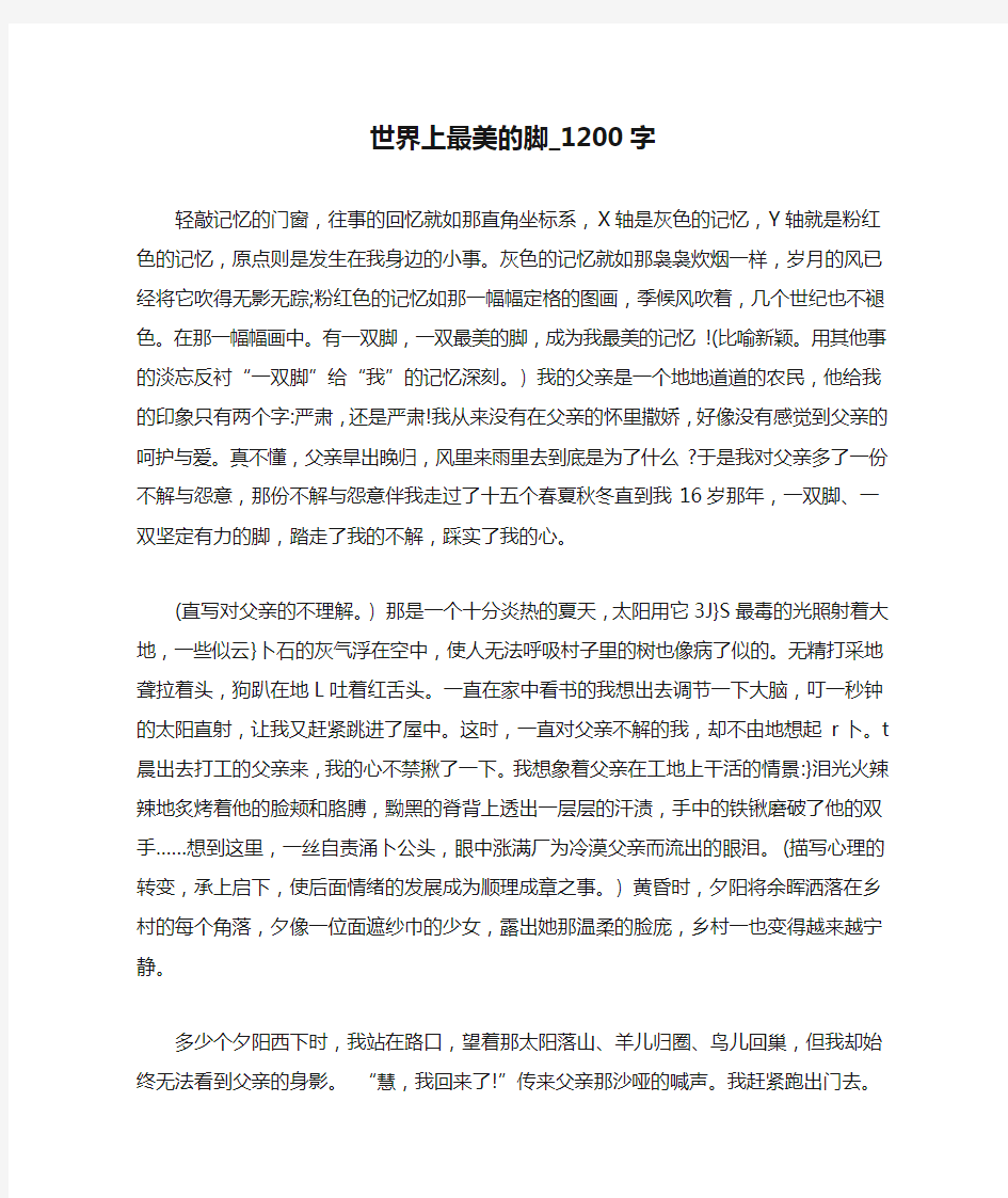 世界上最美的脚_1200字