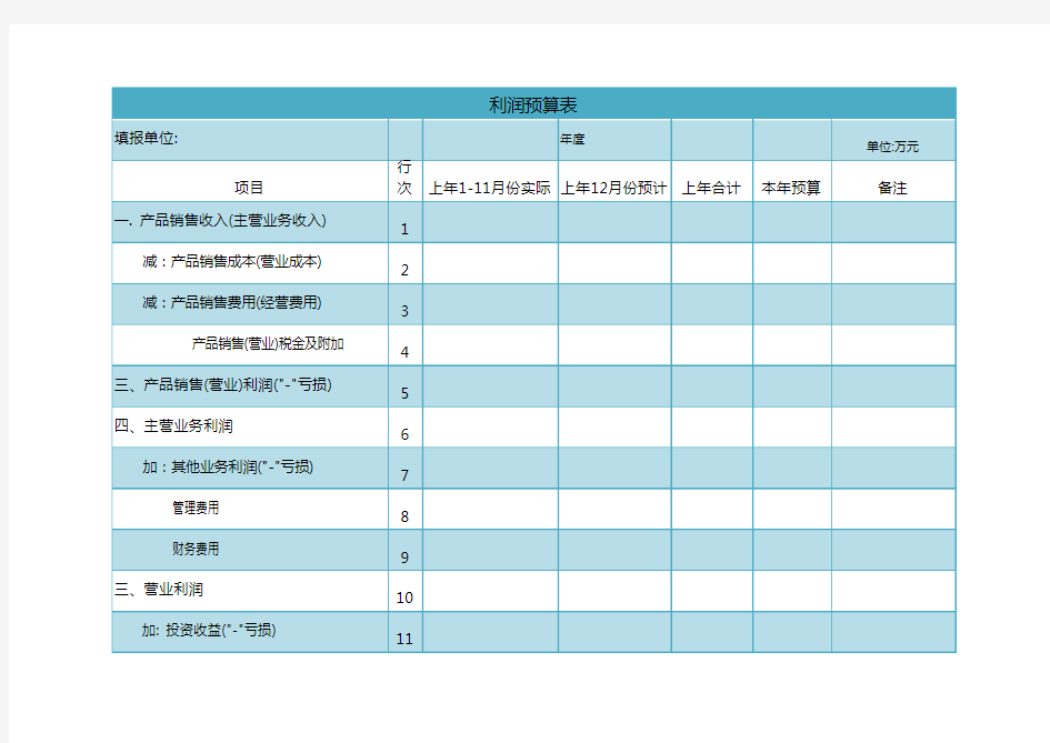 公司项目利润预算表