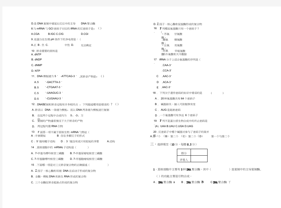 《分子生物学》期末试卷及答案(B)