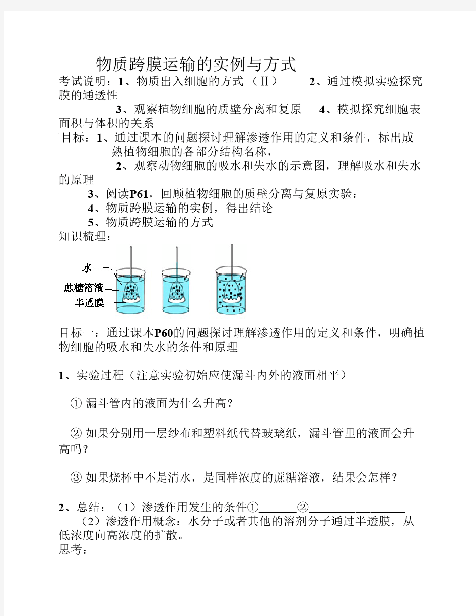 物质的跨膜运输的实例及方式