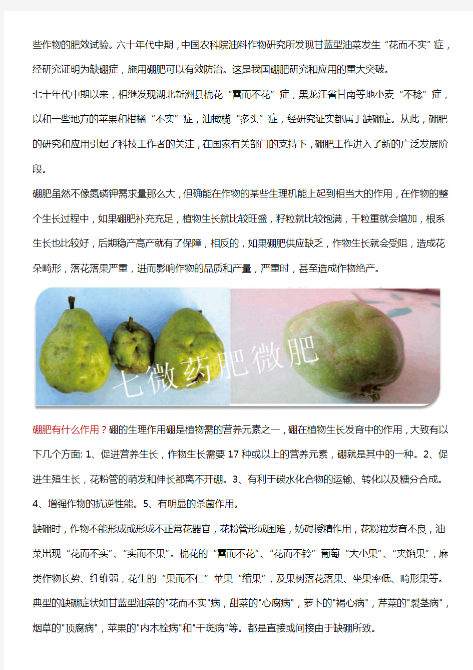 硼肥的品种有哪些_硼肥有什么作用_硼肥施用方法