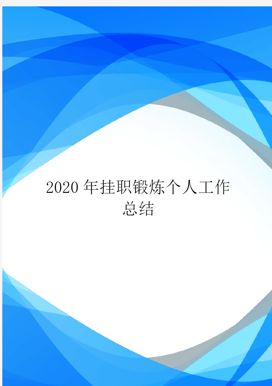 2020年挂职锻炼个人工作总结.doc