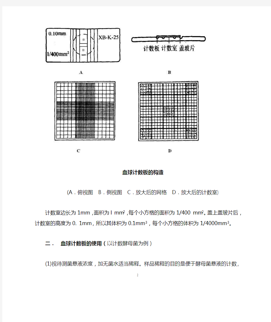 血球计数板的构造和使用方法简介