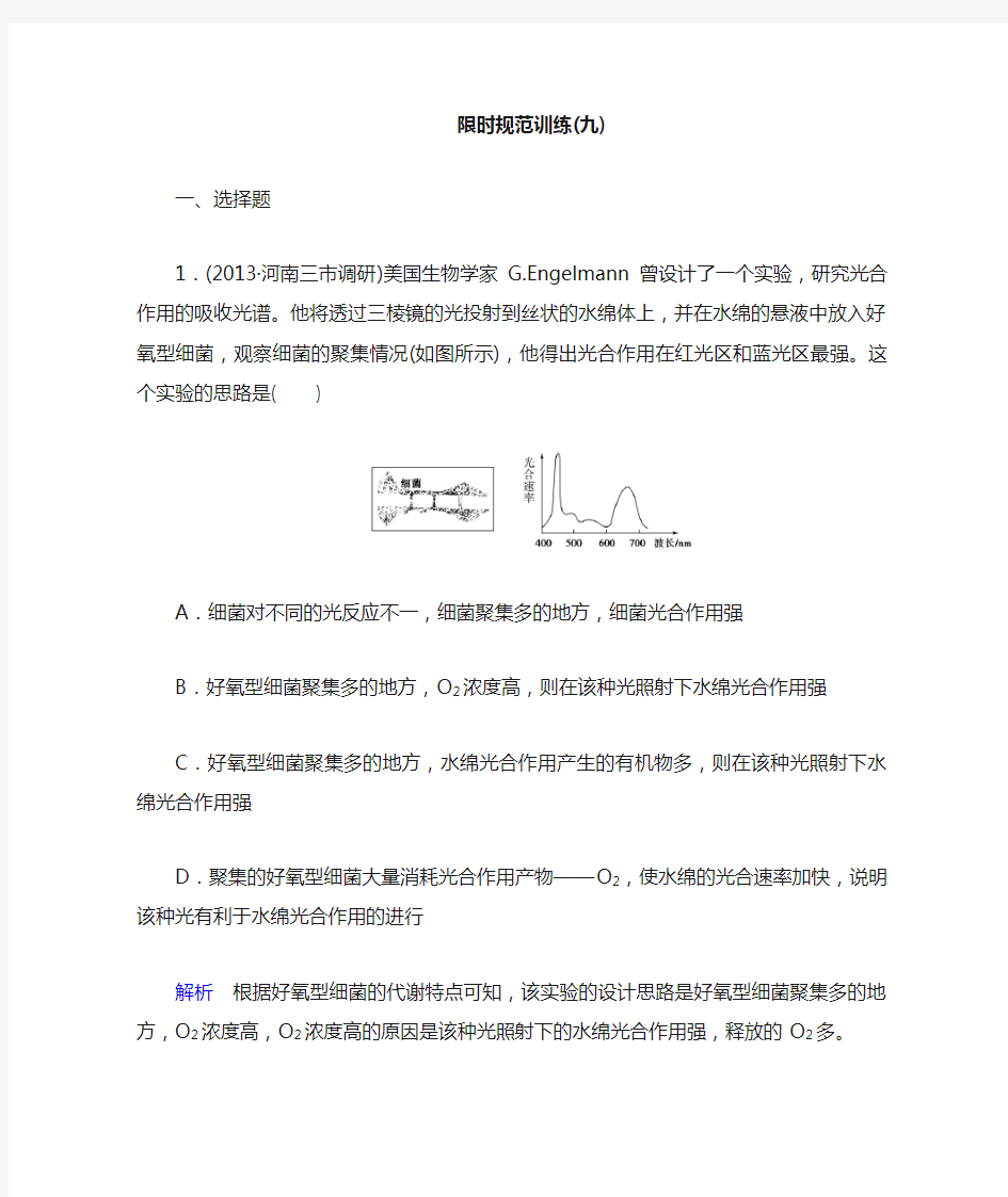 河北衡水中学高考调研内部学案(生物)