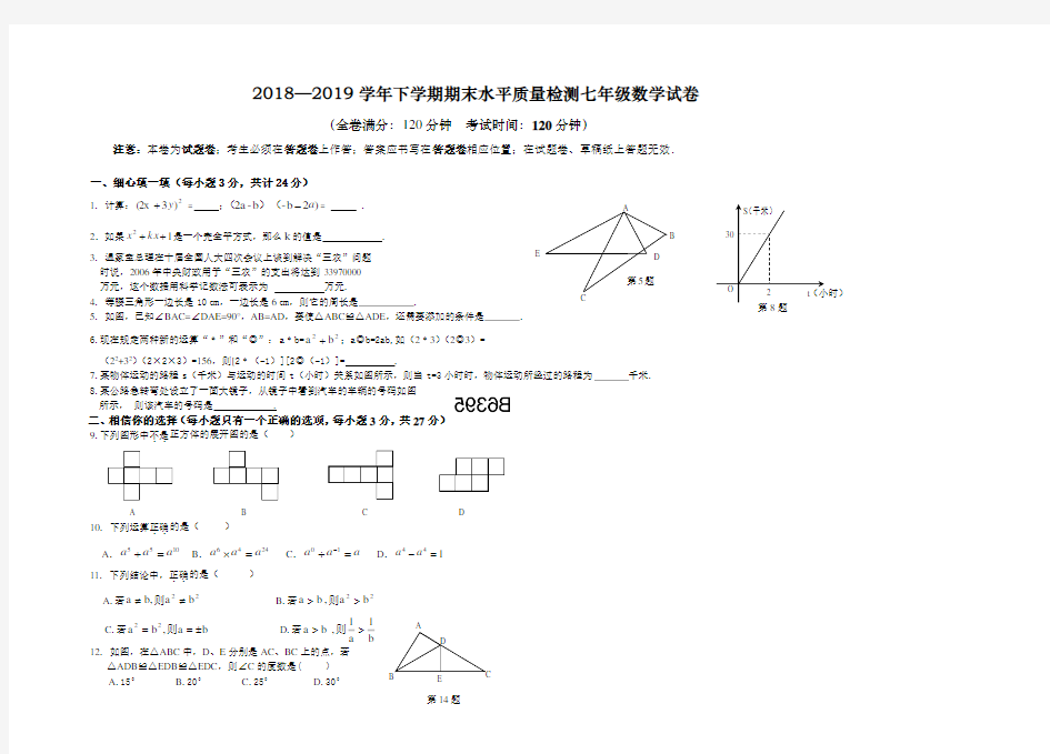 2018—2019学年下学期期末水平质量检测七年级数学试卷及答案