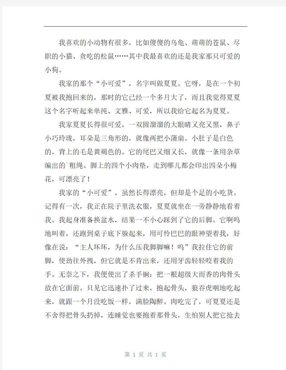 我喜欢的小动物作文500字3篇