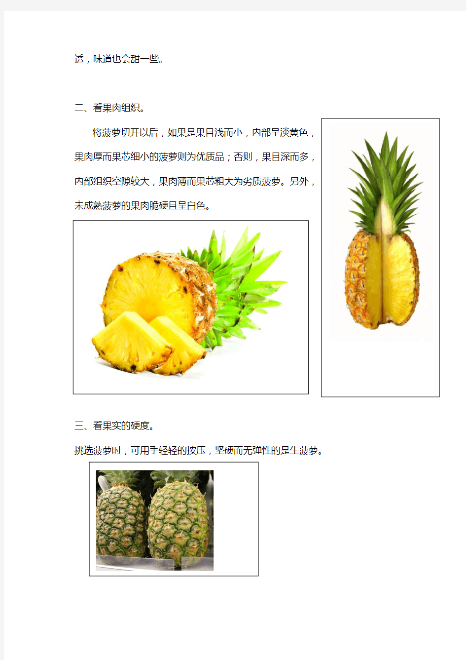 挑选菠萝(凤梨)的方法图文教程
