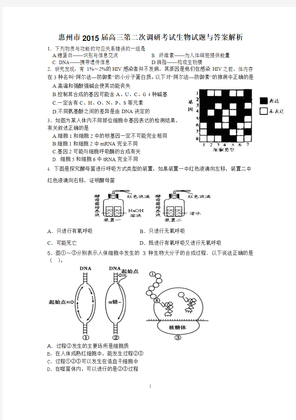 2014和2015 惠州二模 惠州市2015届高三第二次调研考试生物试题和答案解析(Word版) - 副本