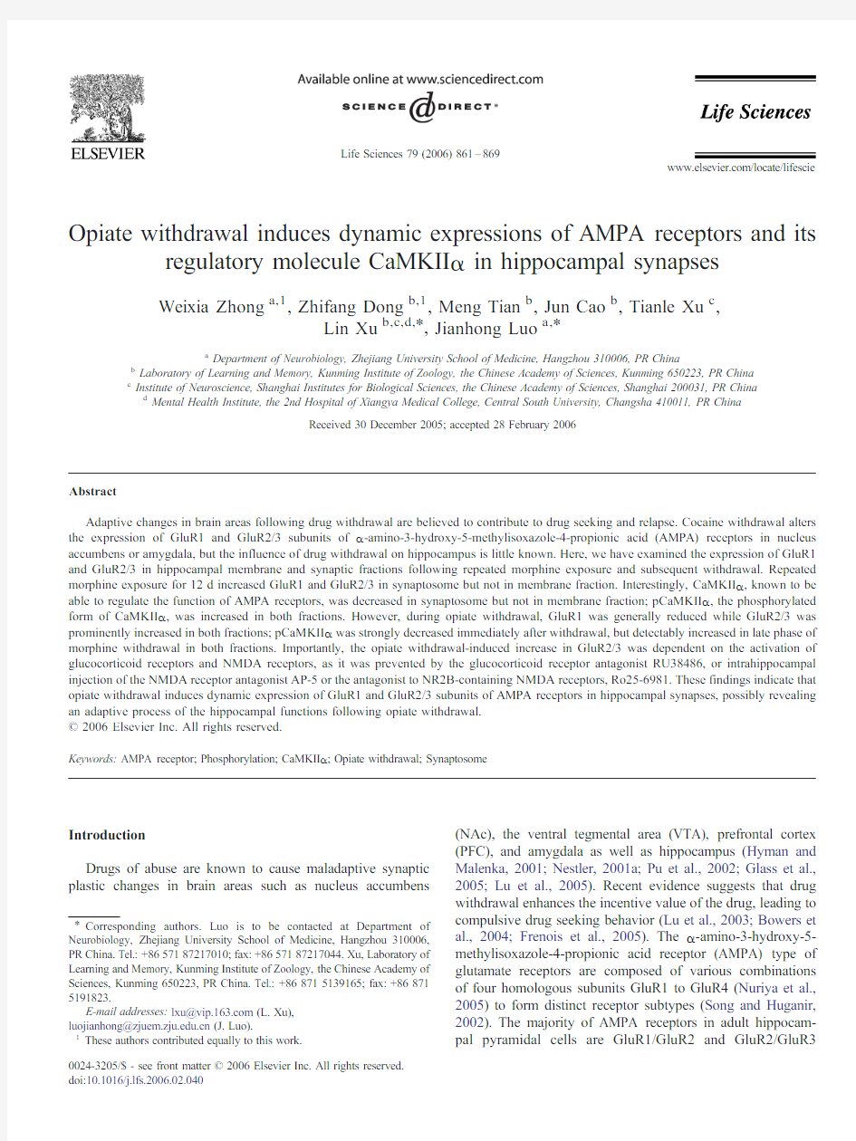 Opiate withdrawal induces dynamic expressions of AMPA receptors and its