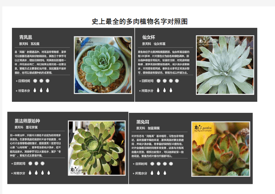 多肉植物名字对照图 多肉花盆标签