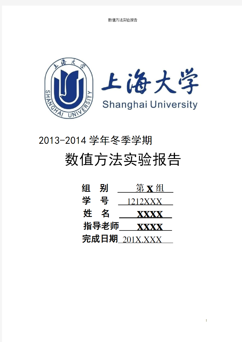 上海大学数值方法报告
