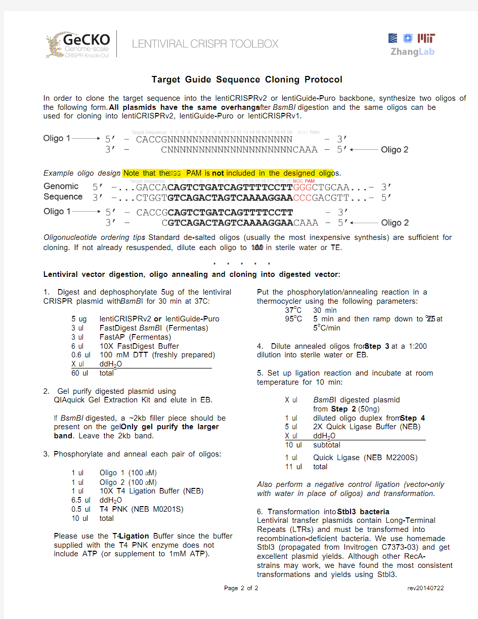 lentiCRISPRv2-and-lentiGuide-oligo-cloning-protocol