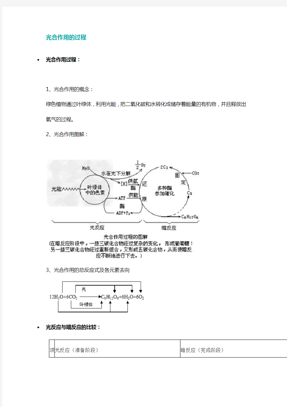 光合作用的过程