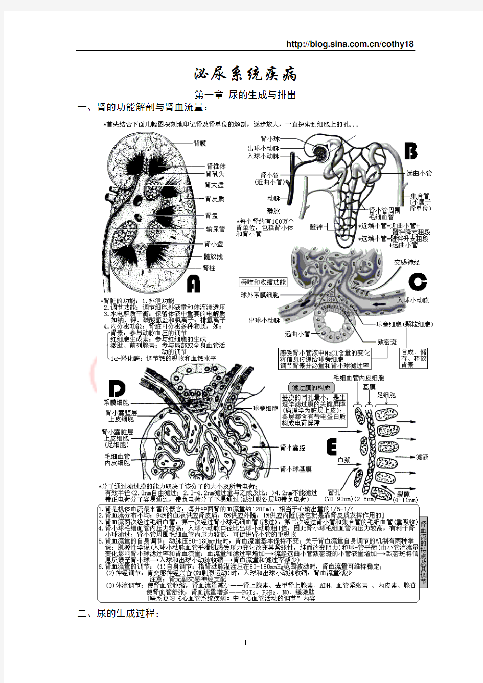 FreeKaoYan西医综合·泌尿系统疾病(生理+病理+内科+外科)