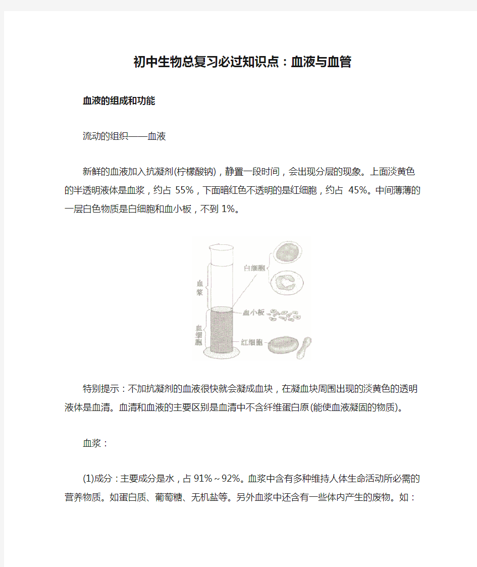 初中生物总复习必过知识点：血液与血管