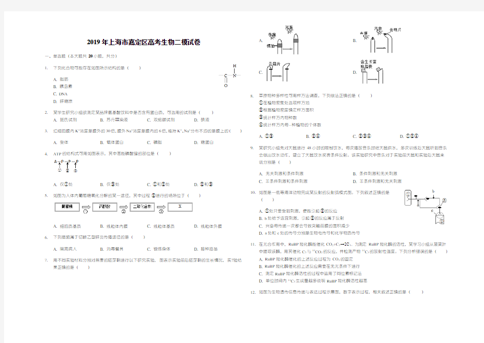 2019年上海市嘉定区高考生物二模试卷