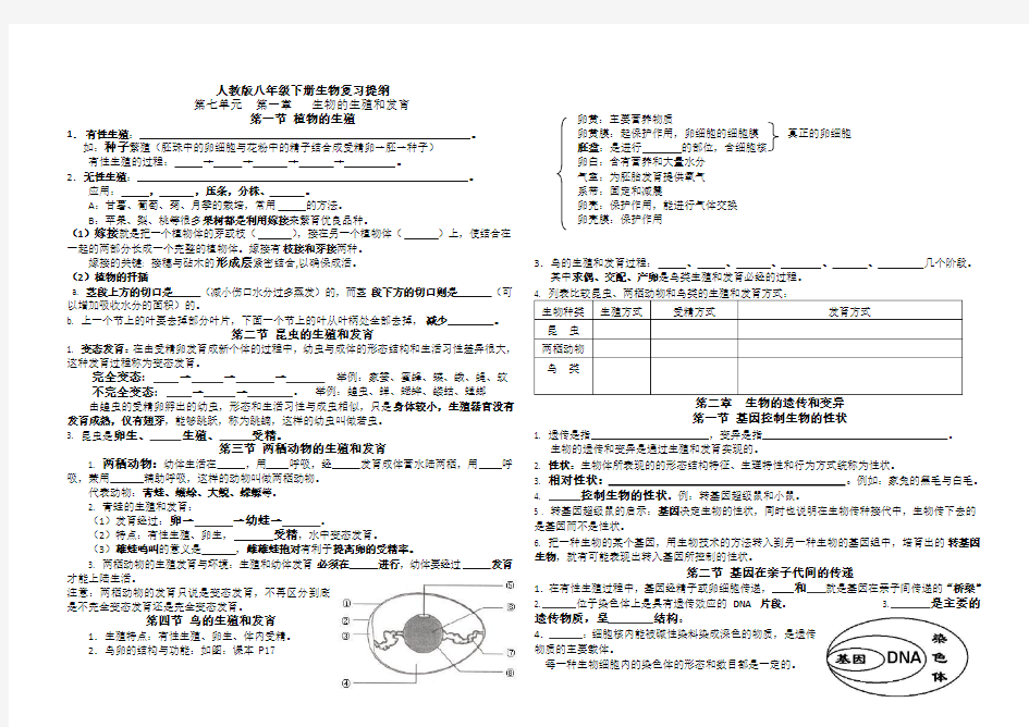 人教版八年级下册生物期中考试复习提纲