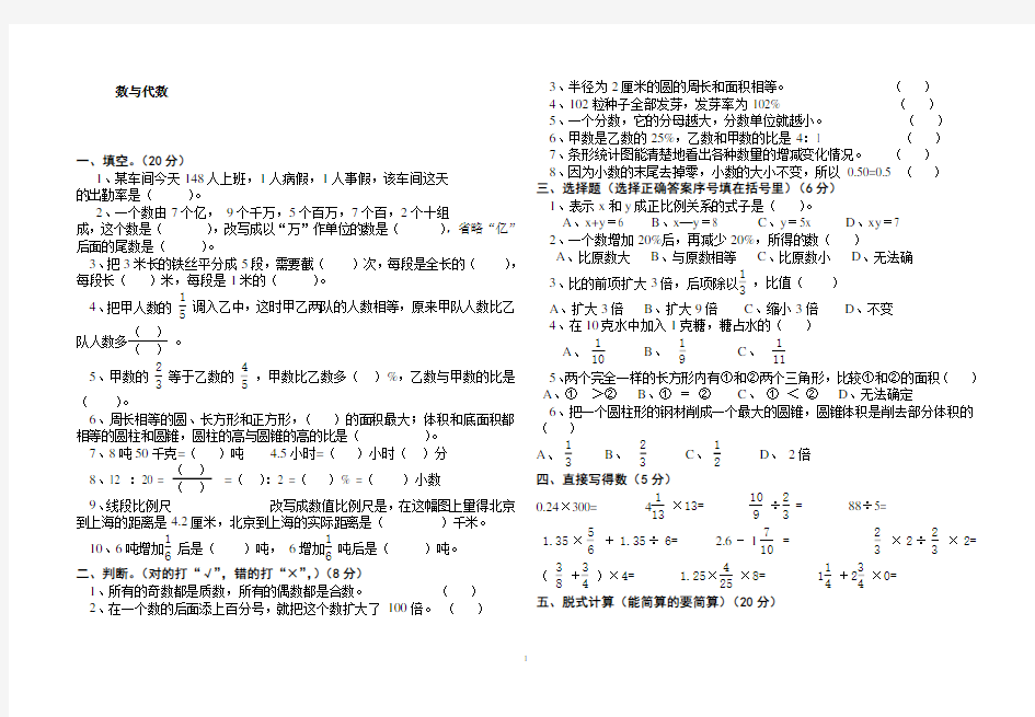 小学六年级数学数与代数