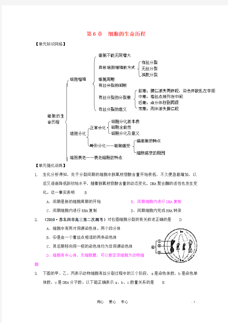 高考生物一轮复习 第6章 细胞的生命历程精品复习学案 必修1