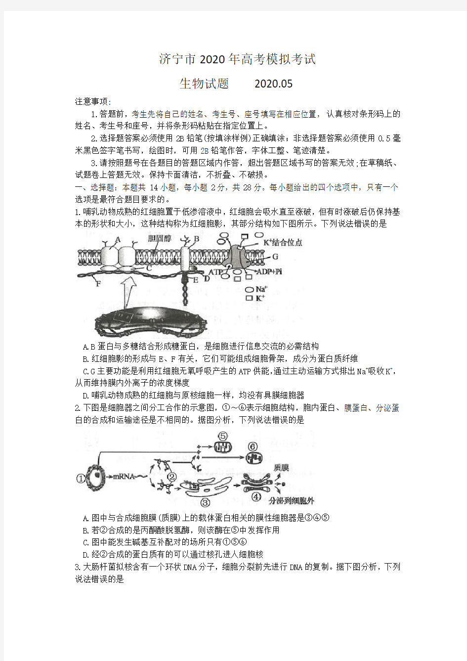 济宁市2020年高考模拟考试生物试题word