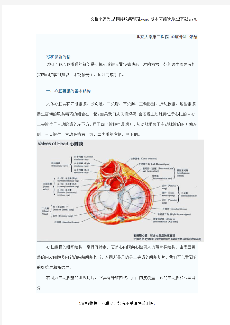 1心脏瓣膜的应用解剖