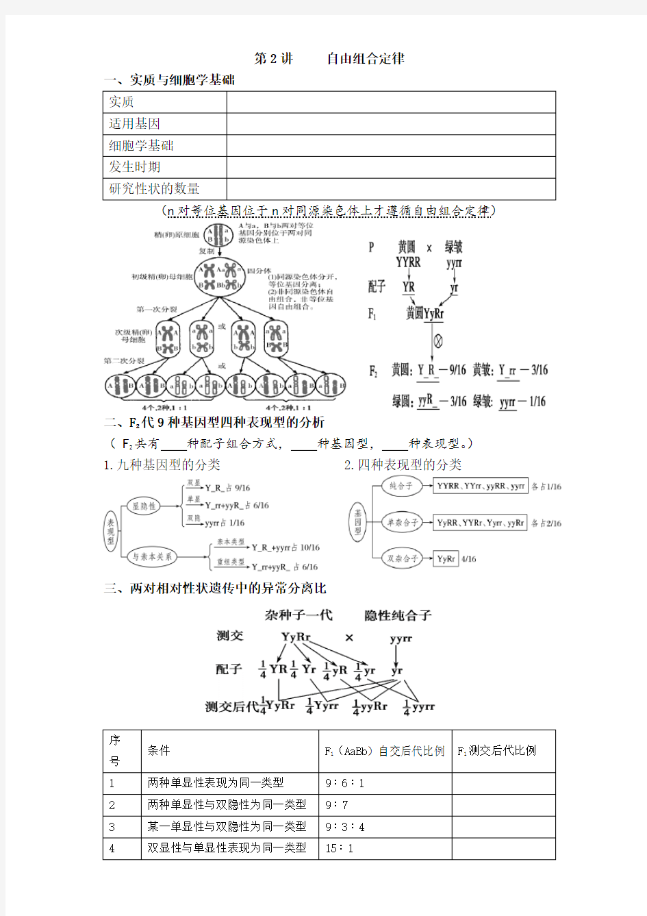 自由组合定律学案