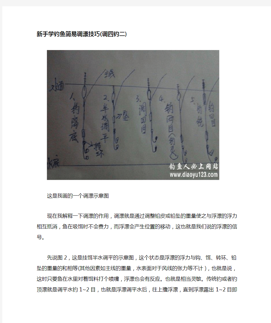 新手学钓鱼简易调漂技巧