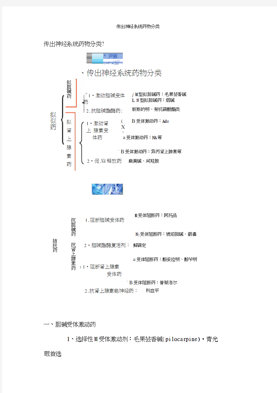 传出神经系统药物分类