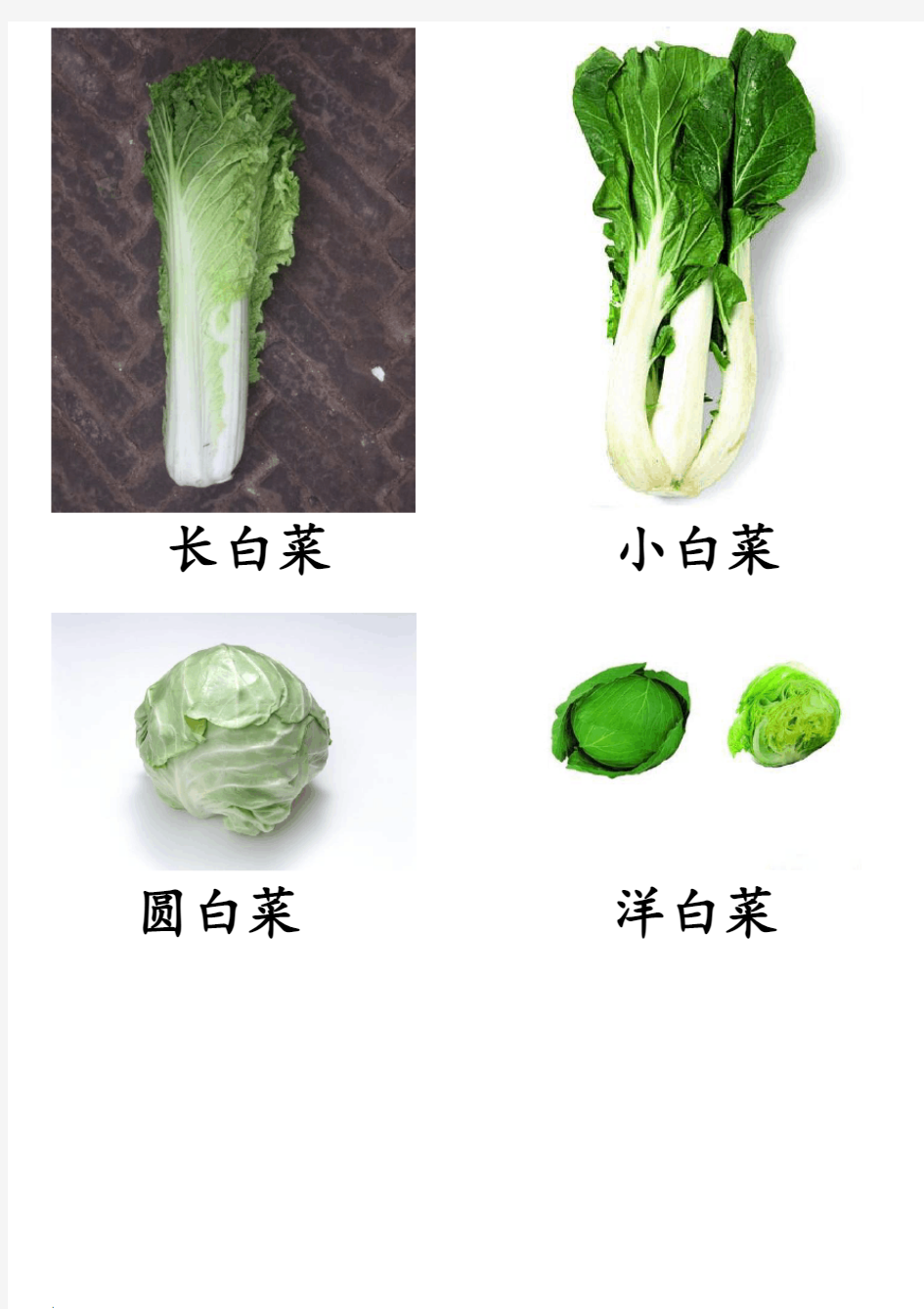 蔬菜图片大全