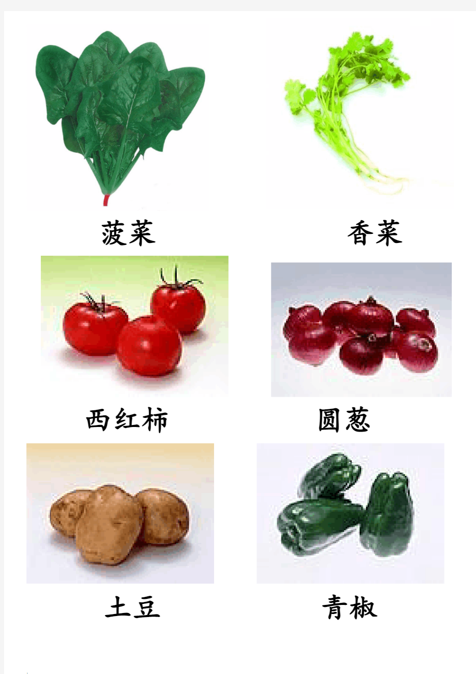 蔬菜图片大全