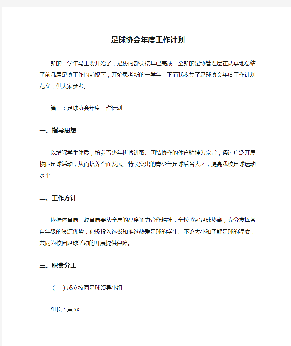 足球协会年度工作计划