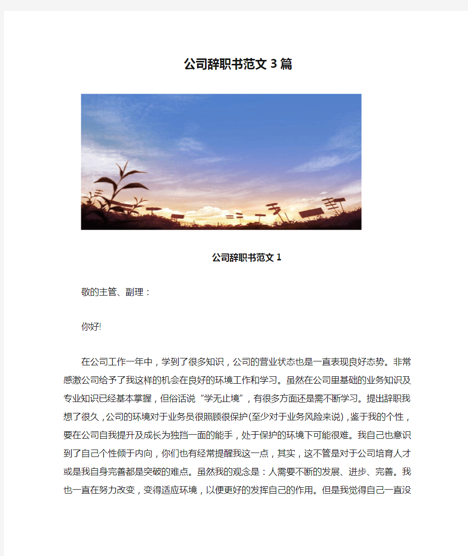 公司辞职书范文3篇