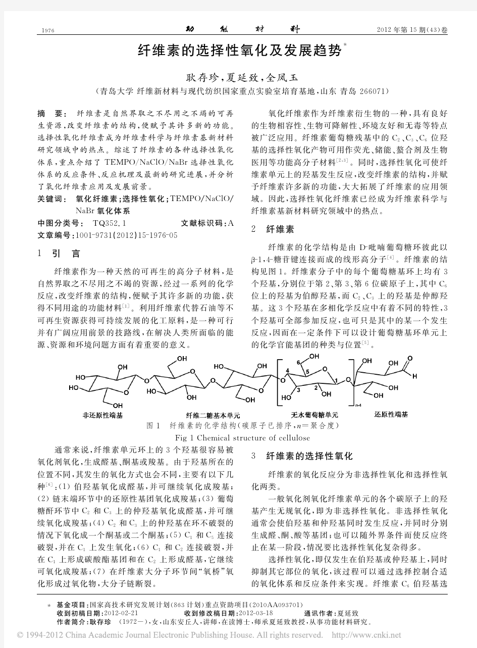 纤维素的选择性氧化及发展趋势_耿存珍