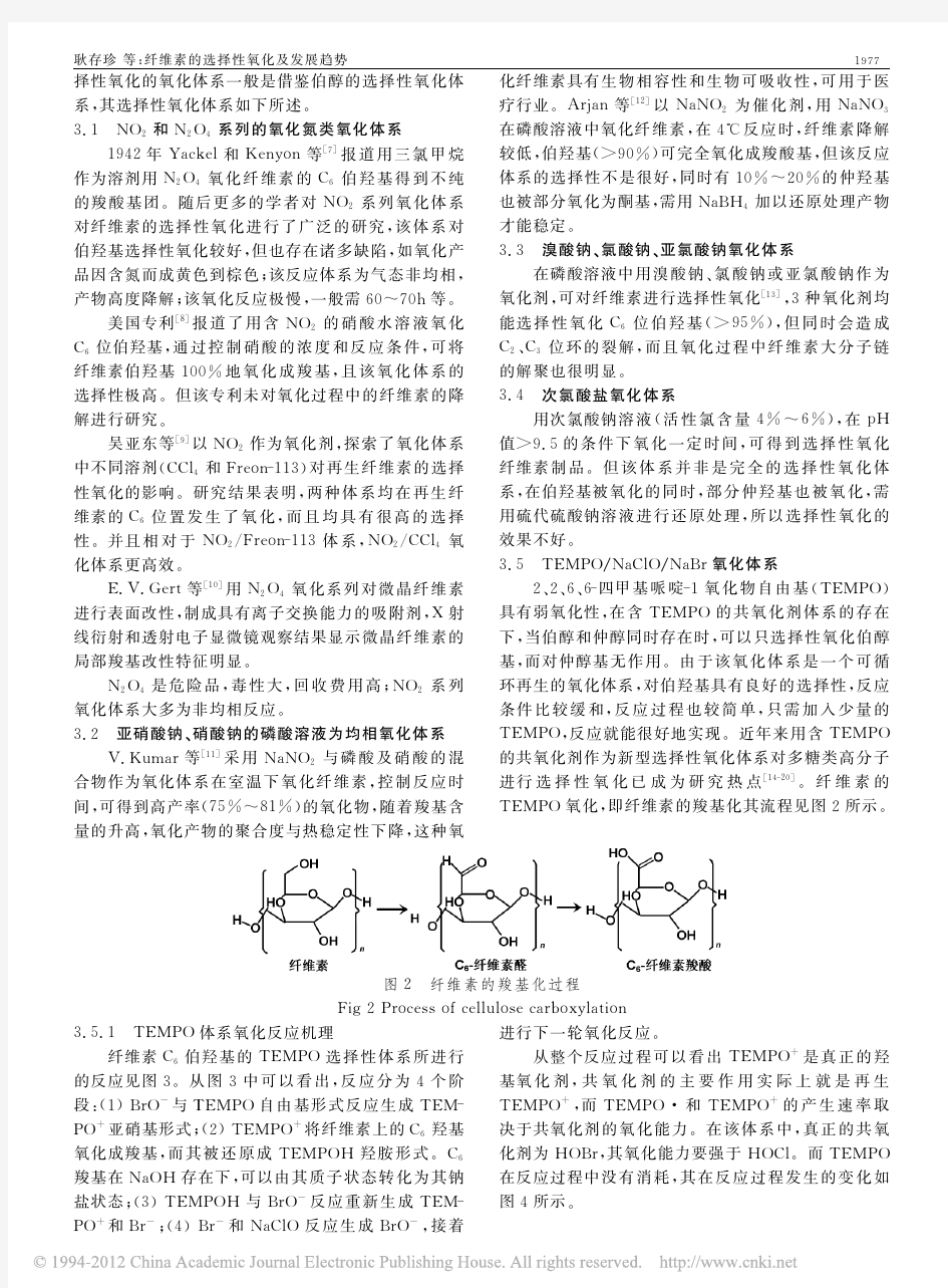 纤维素的选择性氧化及发展趋势_耿存珍