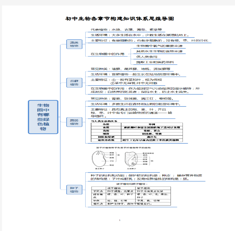 初中生物各章节构建知识体系思维导图