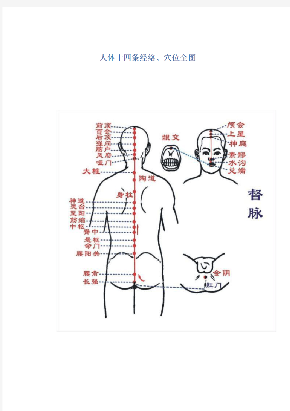 人体十四条经络、穴位全图资料