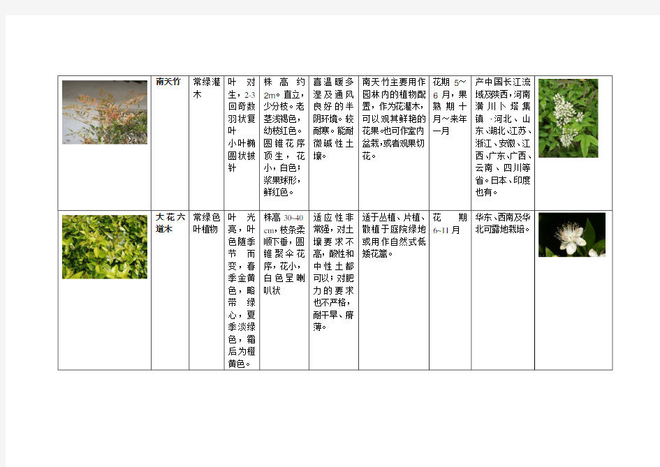 植物分类介绍灌木地被